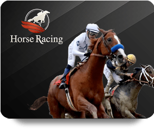 Exploring the Features of FB88 Top Bet for New Users
